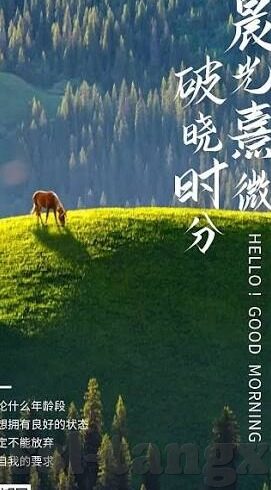 麻豆视频app下载-破解娱乐边界？慎思麻豆视频app下载的潜在影响