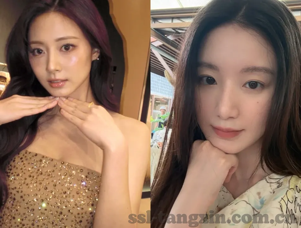 麻豆天堂AV在线观看-麻豆天堂AV网络观看，非法与合法交叉的灰色地带探讨