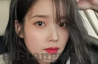 糖心vlog怎么下载-如何下载糖心Vlog的简易指南