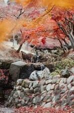 亚洲一区二区-亚洲的多元发展区域，一区与二区的独特视角